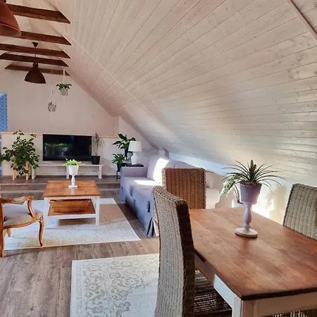 Apartament U Stef Borotice