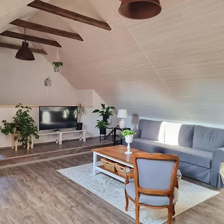 U Stef Apartament Borotice