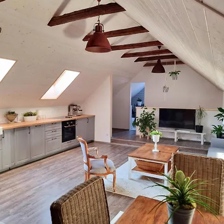 Apartament U Stef Borotice